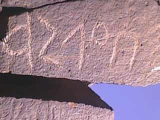 الشرعي ضركام20